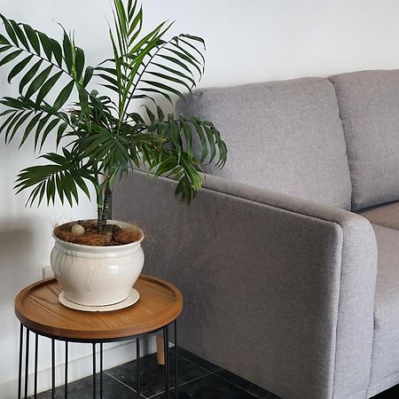 Hotel Alice House à Auckland Extérieur photo